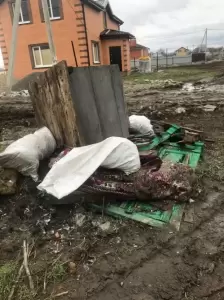 Фотография ЭКО-Город 2